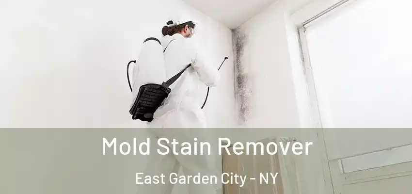 Mold Stain Remover East Garden City - NY