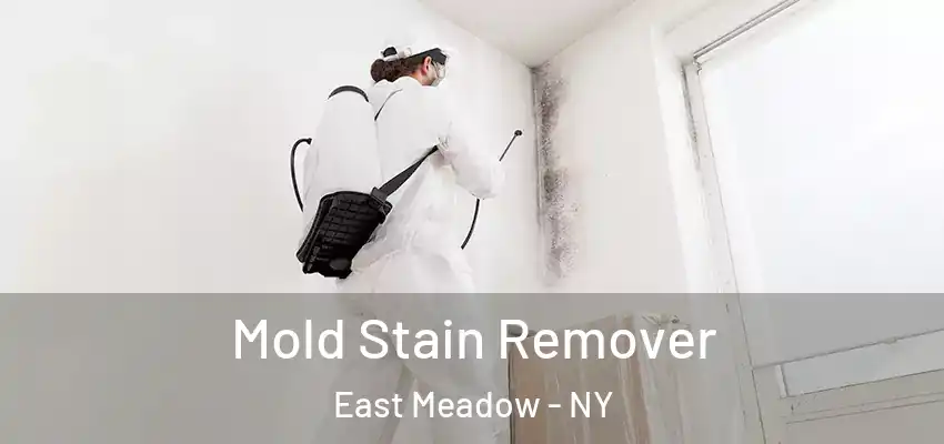  Mold Stain Remover East Meadow - NY