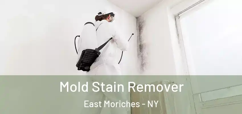  Mold Stain Remover East Moriches - NY