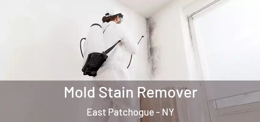  Mold Stain Remover East Patchogue - NY