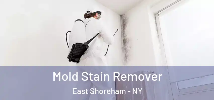  Mold Stain Remover East Shoreham - NY