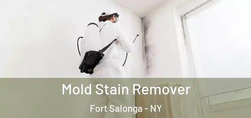  Mold Stain Remover Fort Salonga - NY