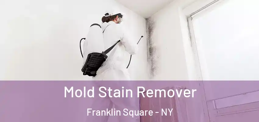  Mold Stain Remover Franklin Square - NY