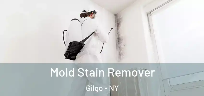  Mold Stain Remover Gilgo - NY