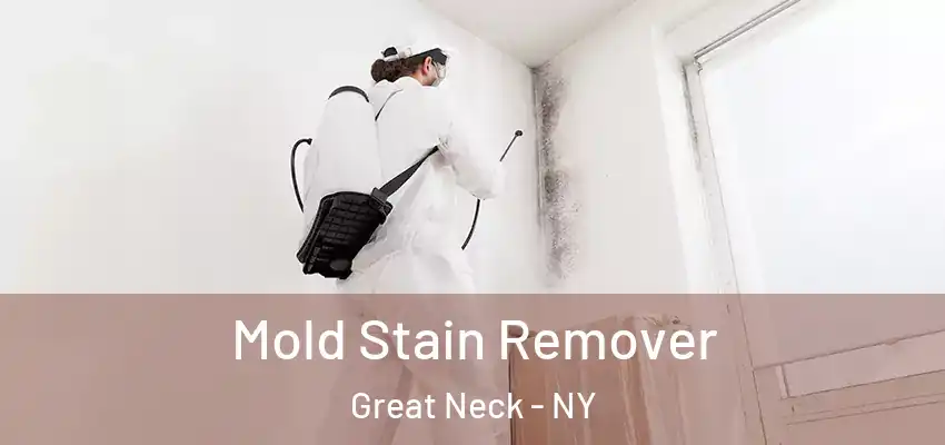  Mold Stain Remover Great Neck - NY