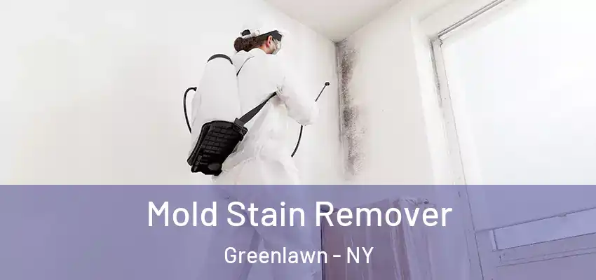 Mold Stain Remover Greenlawn - NY