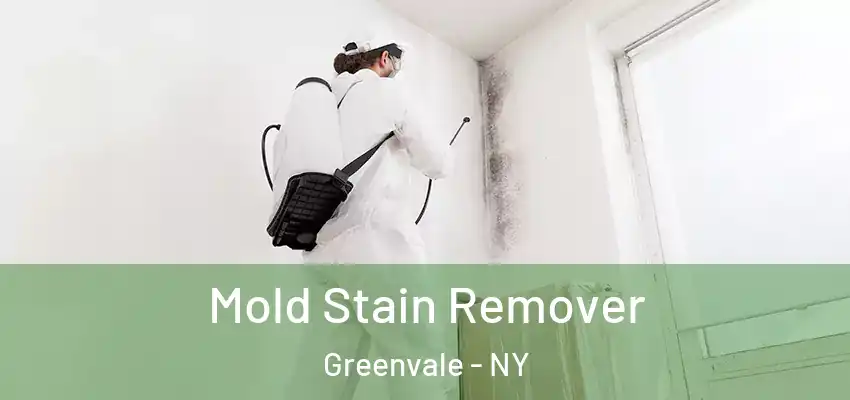 Mold Stain Remover Greenvale - NY