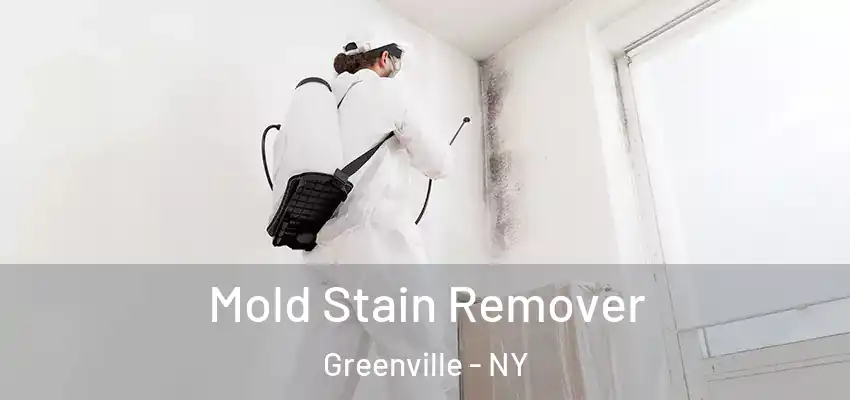  Mold Stain Remover Greenville - NY