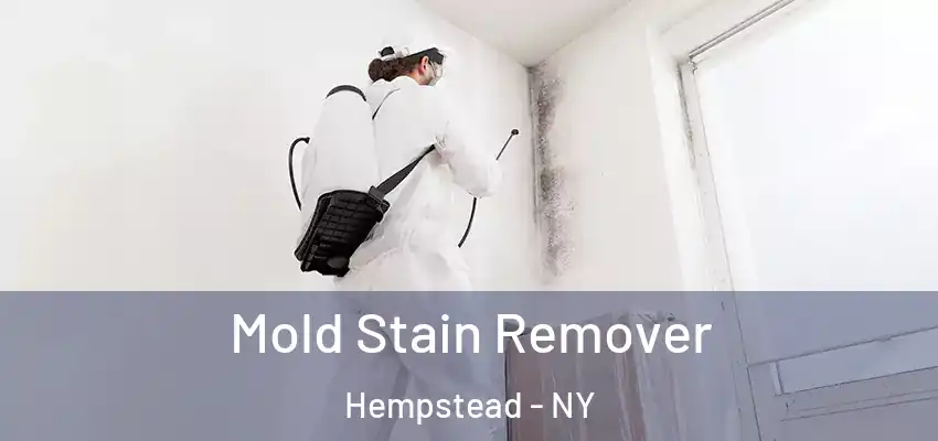 Mold Stain Remover Hempstead - NY
