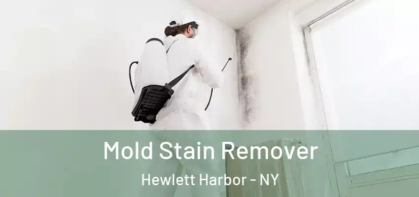  Mold Stain Remover Hewlett Harbor - NY