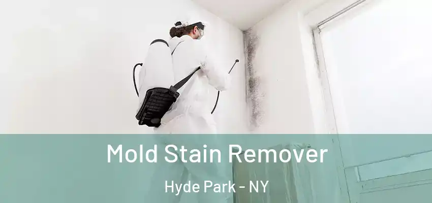 Mold Stain Remover Hyde Park - NY