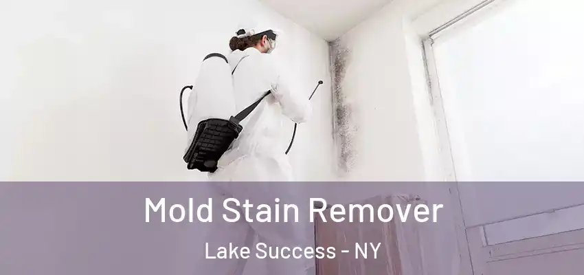  Mold Stain Remover Lake Success - NY