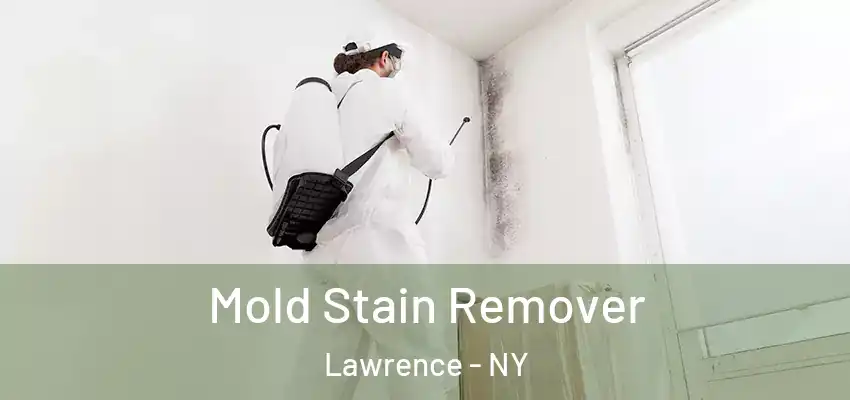 Mold Stain Remover Lawrence - NY