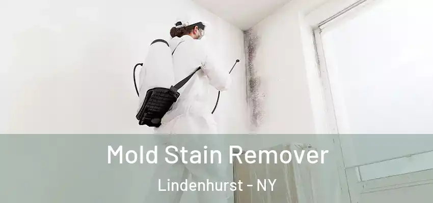 Mold Stain Remover Lindenhurst - NY