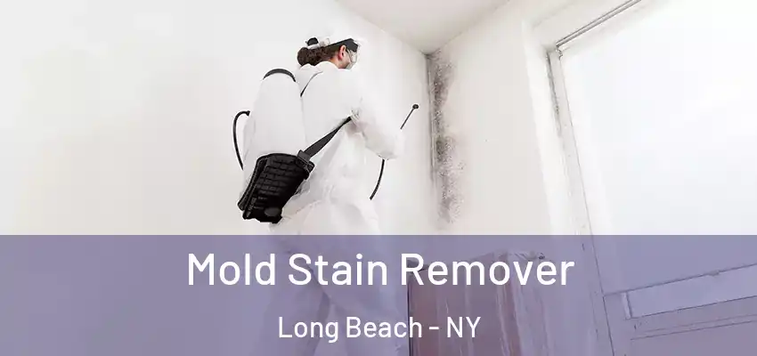 Mold Stain Remover Long Beach - NY