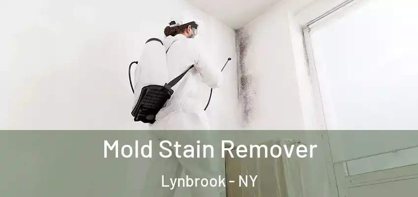 Mold Stain Remover Lynbrook - NY