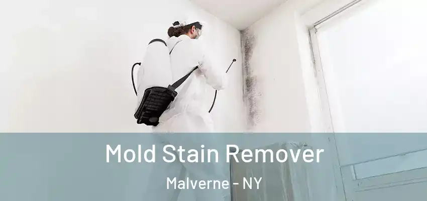 Mold Stain Remover Malverne - NY