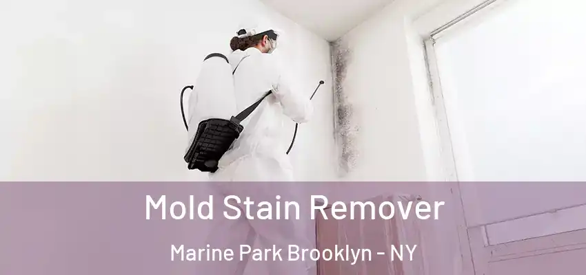  Mold Stain Remover Marine Park Brooklyn - NY