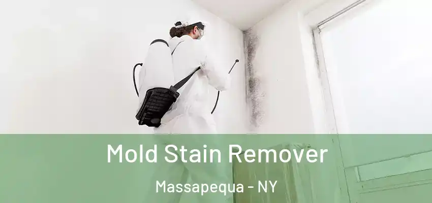 Mold Stain Remover Massapequa - NY