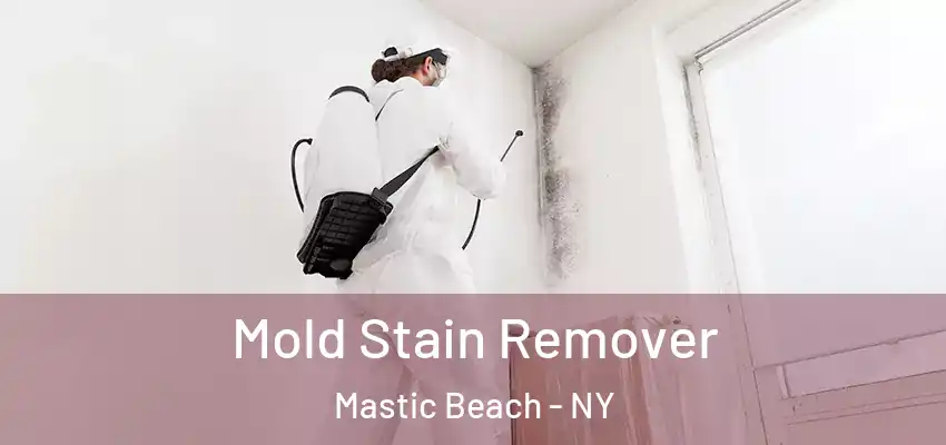 Mold Stain Remover Mastic Beach - NY