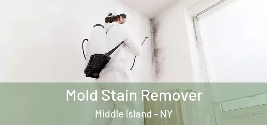  Mold Stain Remover Middle Island - NY
