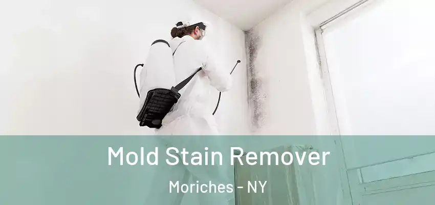  Mold Stain Remover Moriches - NY