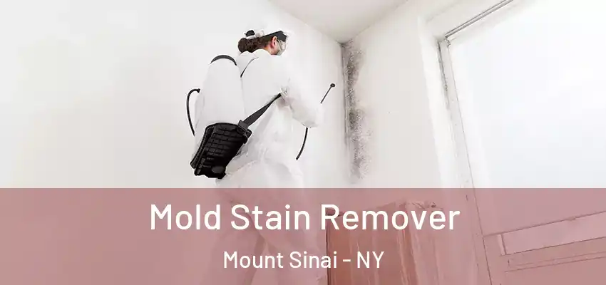  Mold Stain Remover Mount Sinai - NY