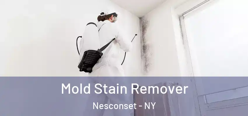 Mold Stain Remover Nesconset - NY