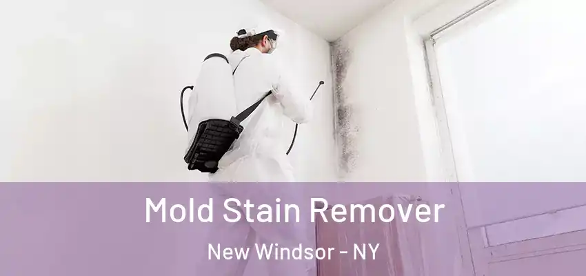 Mold Stain Remover New Windsor - NY