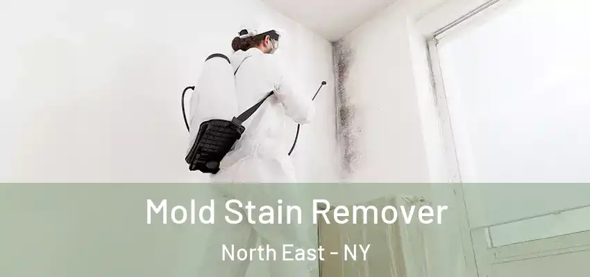 Mold Stain Remover North East - NY