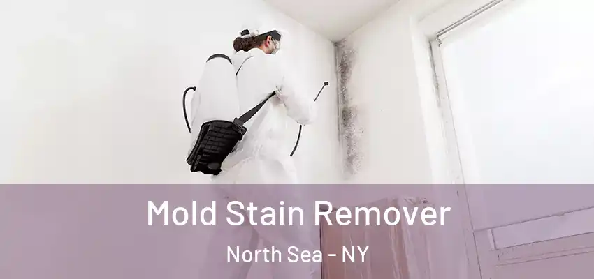  Mold Stain Remover North Sea - NY