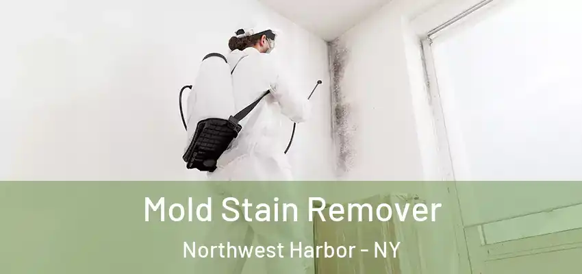  Mold Stain Remover Northwest Harbor - NY