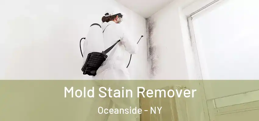Mold Stain Remover Oceanside - NY