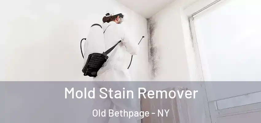  Mold Stain Remover Old Bethpage - NY