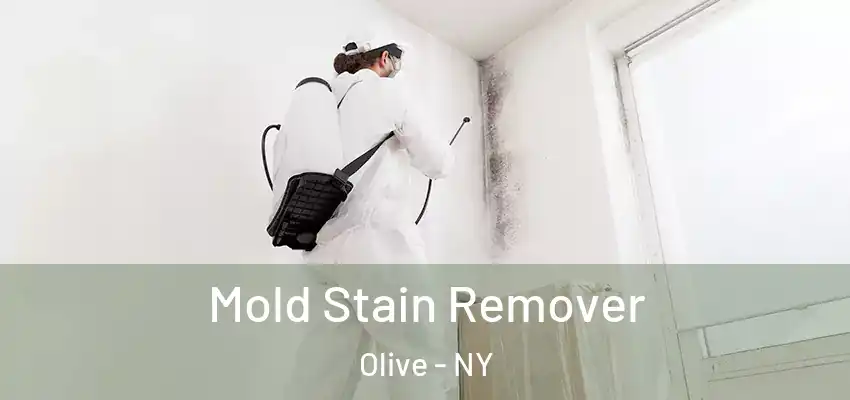 Mold Stain Remover Olive - NY