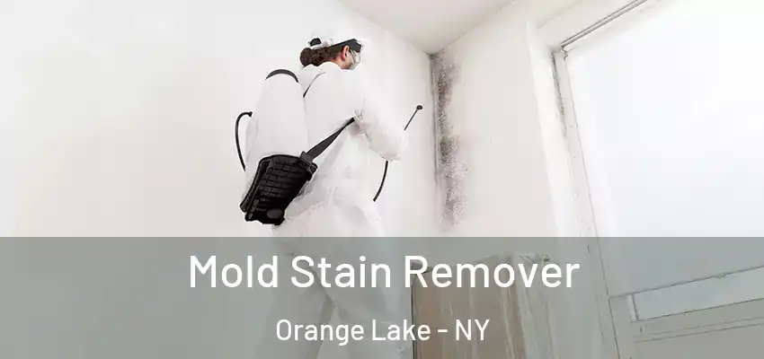 Mold Stain Remover Orange Lake - NY