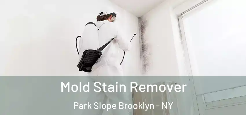  Mold Stain Remover Park Slope Brooklyn - NY