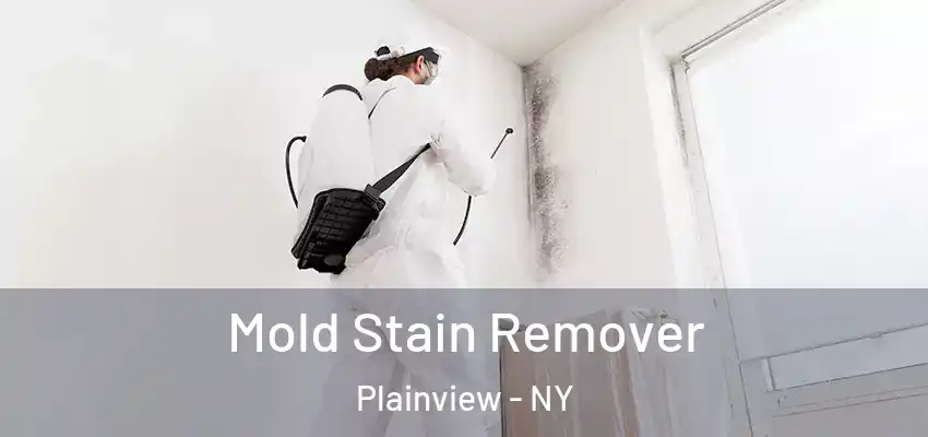  Mold Stain Remover Plainview - NY