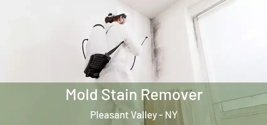  Mold Stain Remover Pleasant Valley - NY