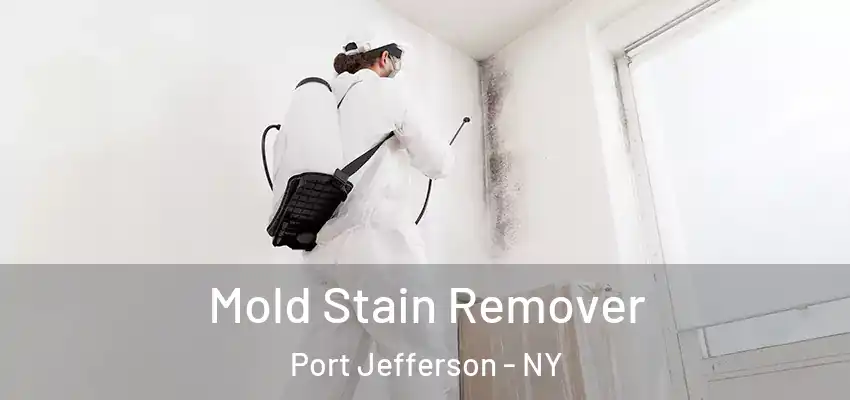  Mold Stain Remover Port Jefferson - NY