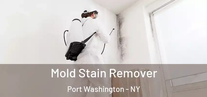  Mold Stain Remover Port Washington - NY