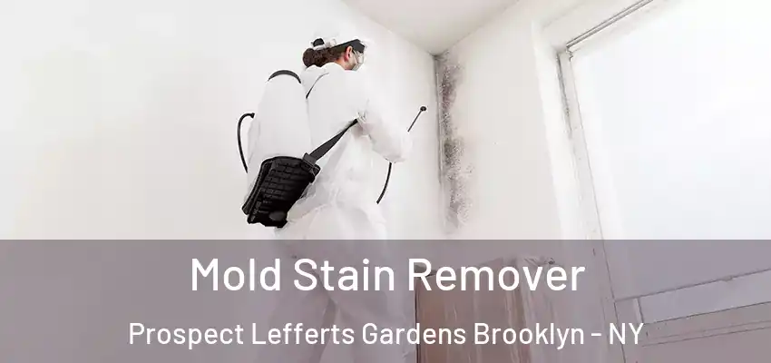  Mold Stain Remover Prospect Lefferts Gardens Brooklyn - NY