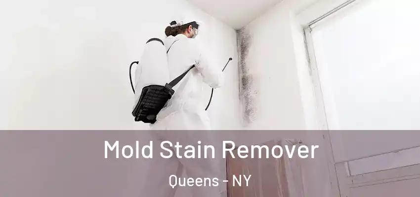 Mold Stain Remover Queens - NY