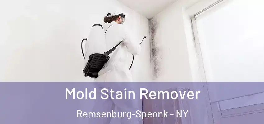  Mold Stain Remover Remsenburg-Speonk - NY