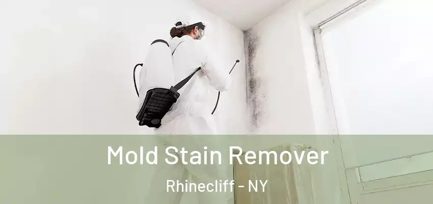 Mold Stain Remover Rhinecliff - NY