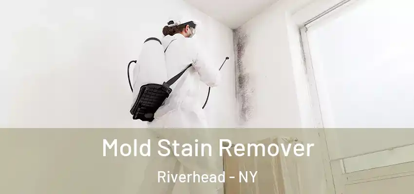 Mold Stain Remover Riverhead - NY