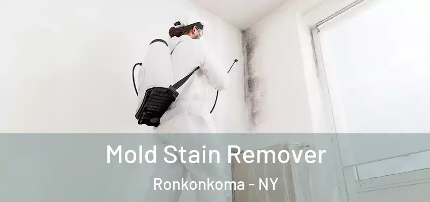  Mold Stain Remover Ronkonkoma - NY