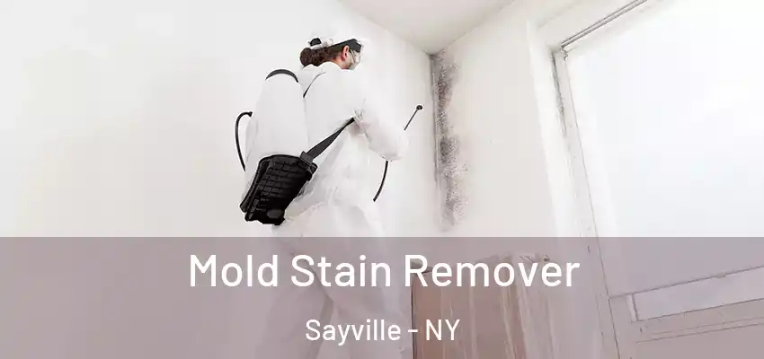  Mold Stain Remover Sayville - NY