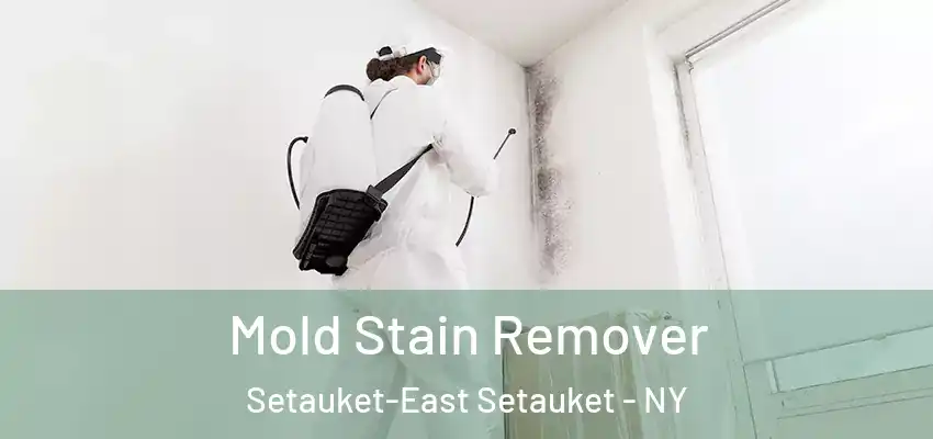  Mold Stain Remover Setauket-East Setauket - NY