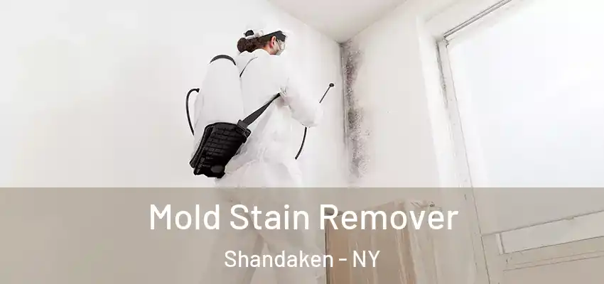  Mold Stain Remover Shandaken - NY